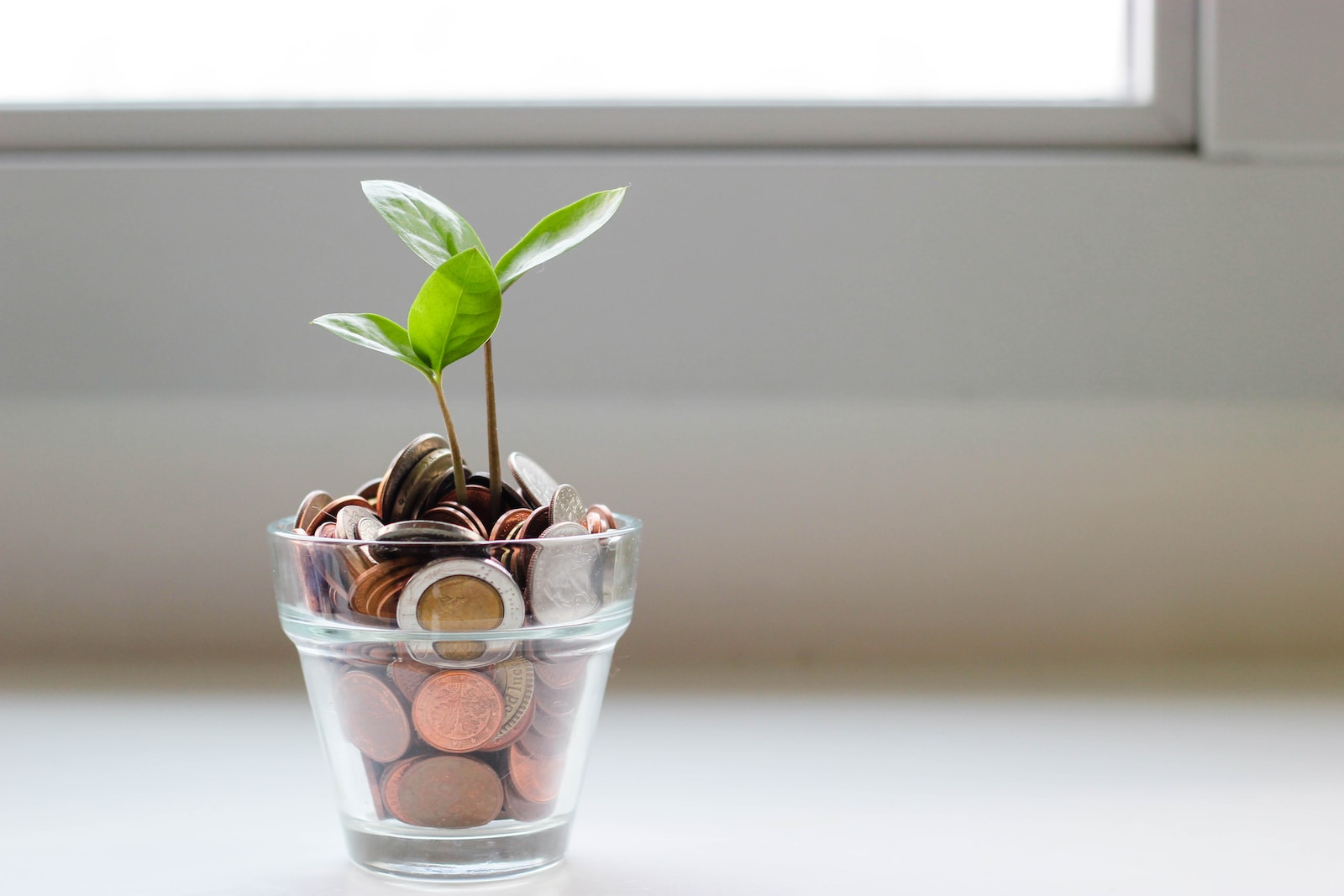 Jak ušetřit peníze: 24 tipů, jak spořit i z malé výplaty