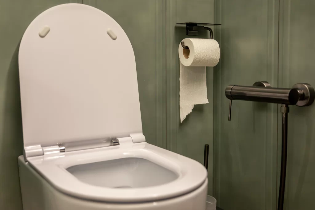 Toaleta a toaletní papír